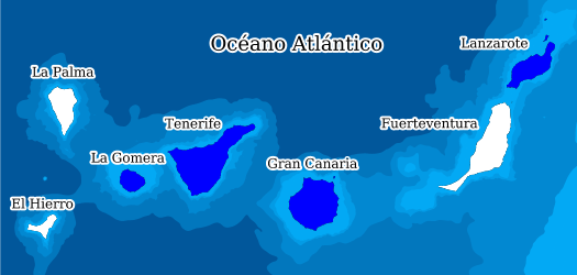 Distribution of the species in the Biodiversity Data Bank of the Canary Islands