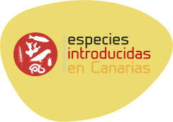 Especies introducidas en Canarias