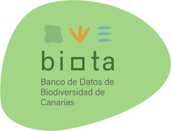 Banco de datos