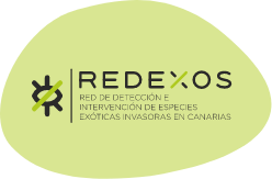 Redexos